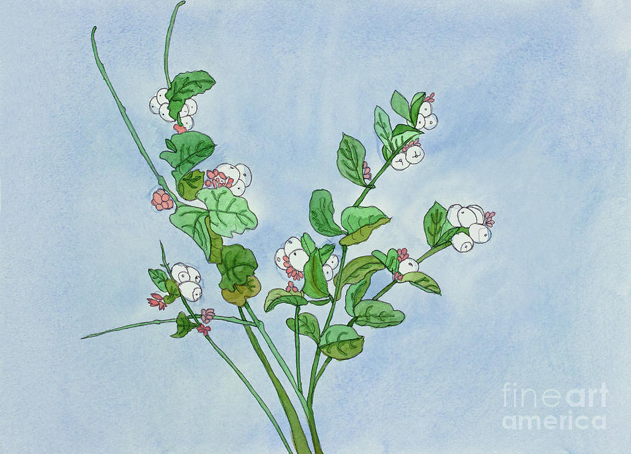 Snowball plant Painting by Norma Appleton