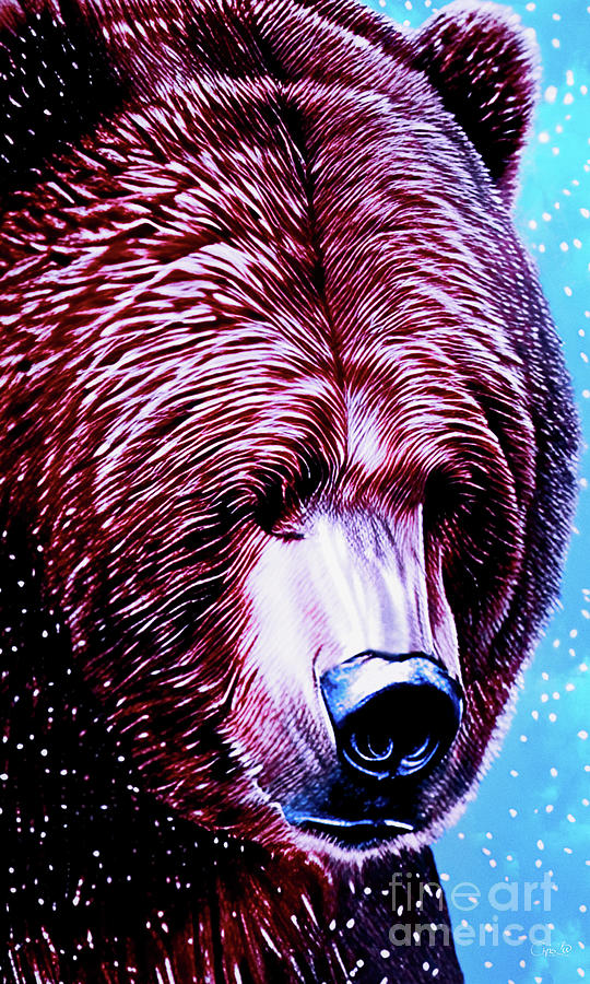 Snowbear Digital Art