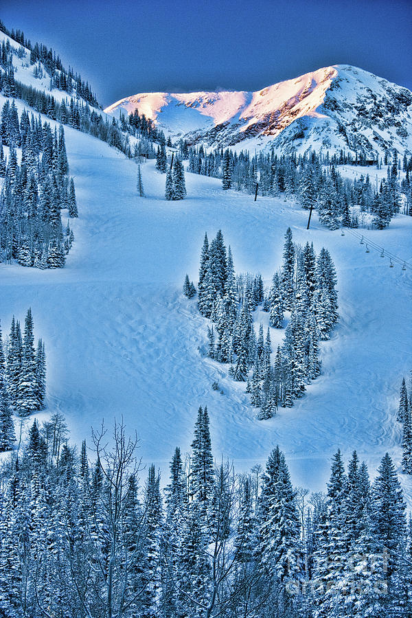 Nature Photograph - Snowbird Utah by Don Landwehrle