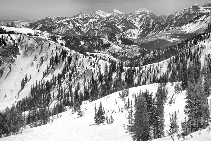 Snowbird Winter Wasatch Views Black And White Photograph by Adam Jewell