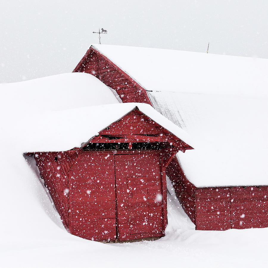 Snowbound Barn Square Photograph by Alan L Graham