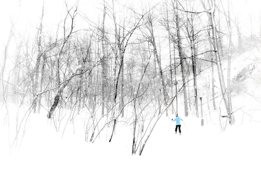 Snowbunny Photograph by Shannon Kelly Snowbunny Photograph by Shannon Kelly
