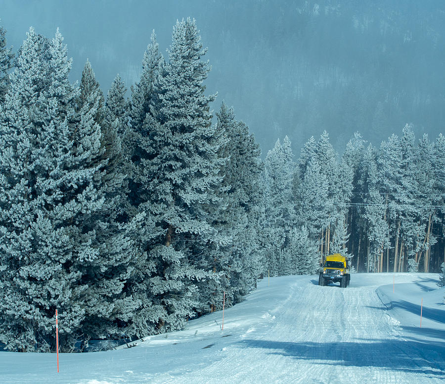 Snowcoach Traveling on the Road in Yellowstone National Park in Winter Photograph by L Bosco