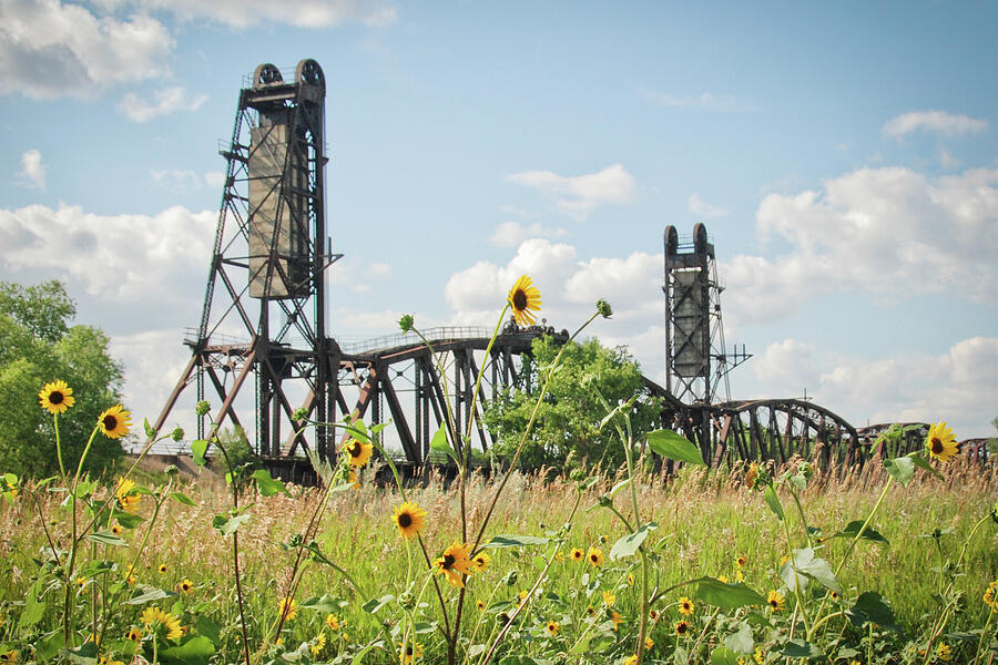 Snowden Bridge and Wild Sunflowers Photograph by Mary Tastad Snowden Bridge and Wild Sunflowers Photograph by Mary Tastad