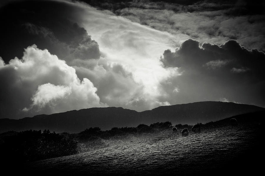 Snowdonia Photograph by Dorit Fuhg