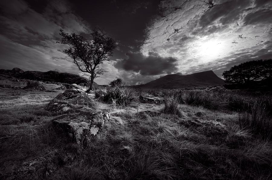 Snowdonia Mood Photograph by Richard Wiggins