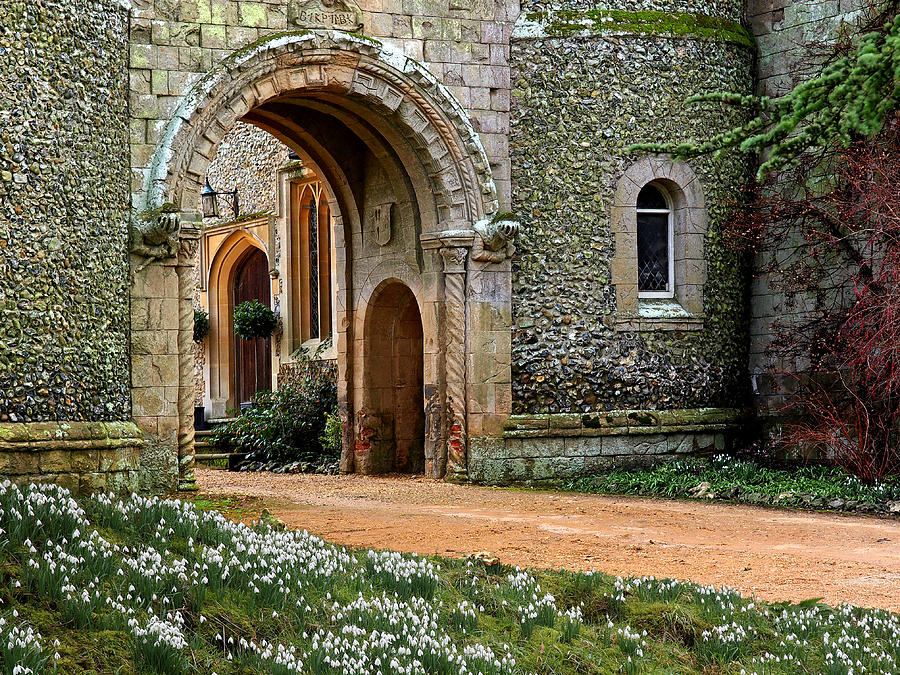 Snowdrops at Medieval Castle Entrance Photograph by Gill Billington