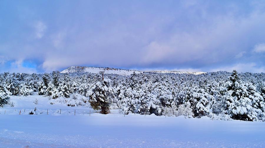 Winter Snow Wonderland Photograph by Bnte Creations