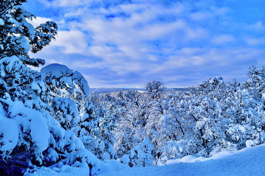 Panoramic Snow View #1 Photograph by Bnte Creations