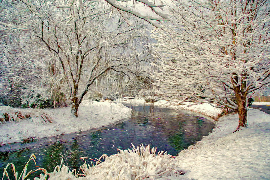Snowfall by the Lake Photograph by Jerry Gammon