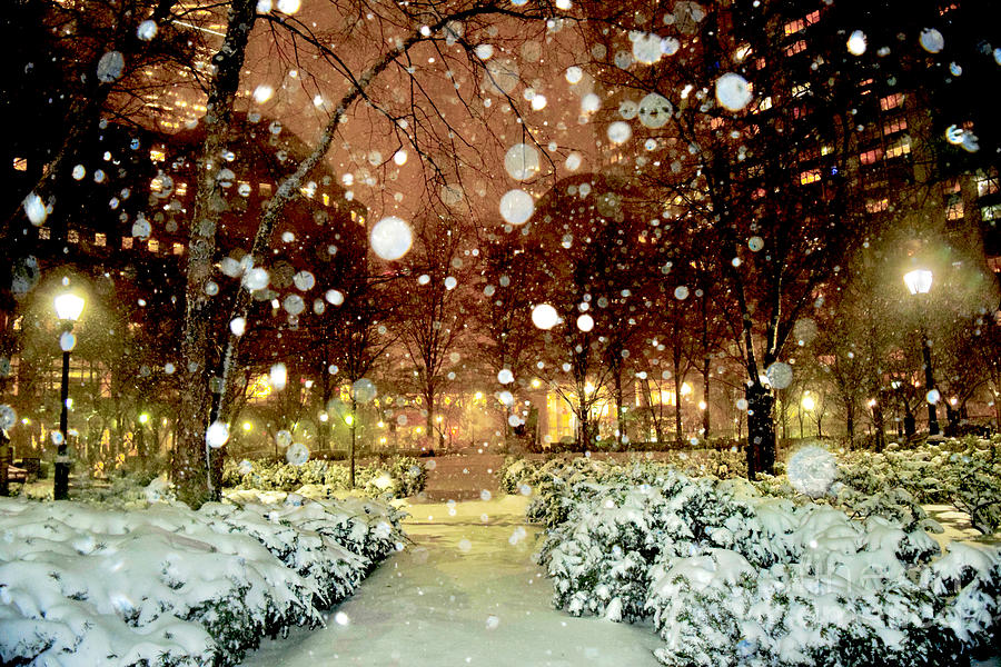 Snowfall  New York Photograph by Debra Banks