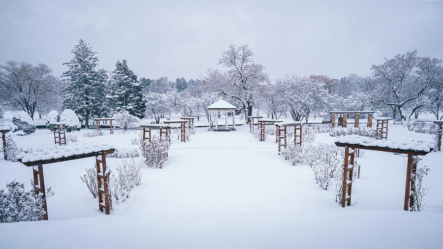 Snowfall on the Allentown Rose Gardens Photograph by Jason Fink