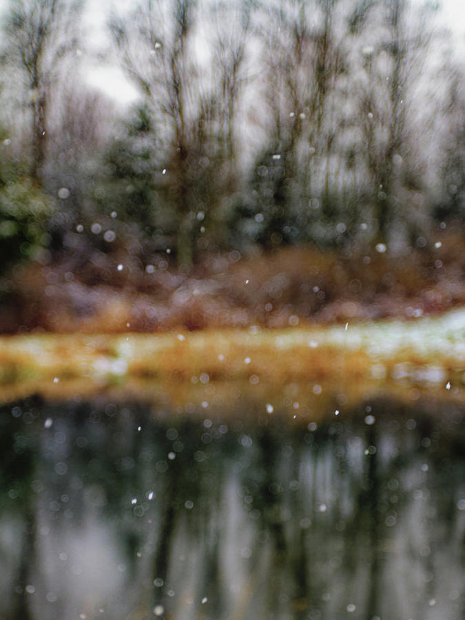 Snowfall Reflections Photograph by Ron Dubin