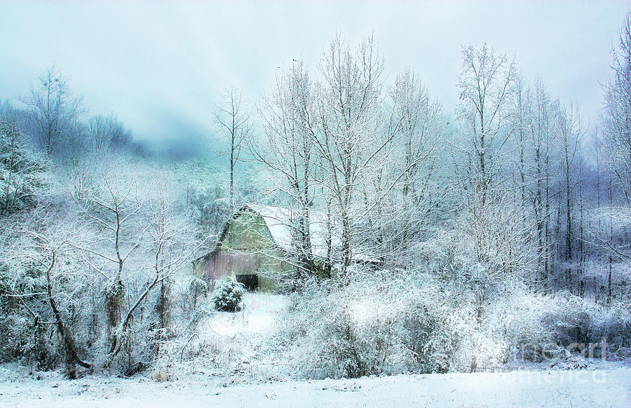 Snowfall Snowfall Photograph by Rick Lipscomb