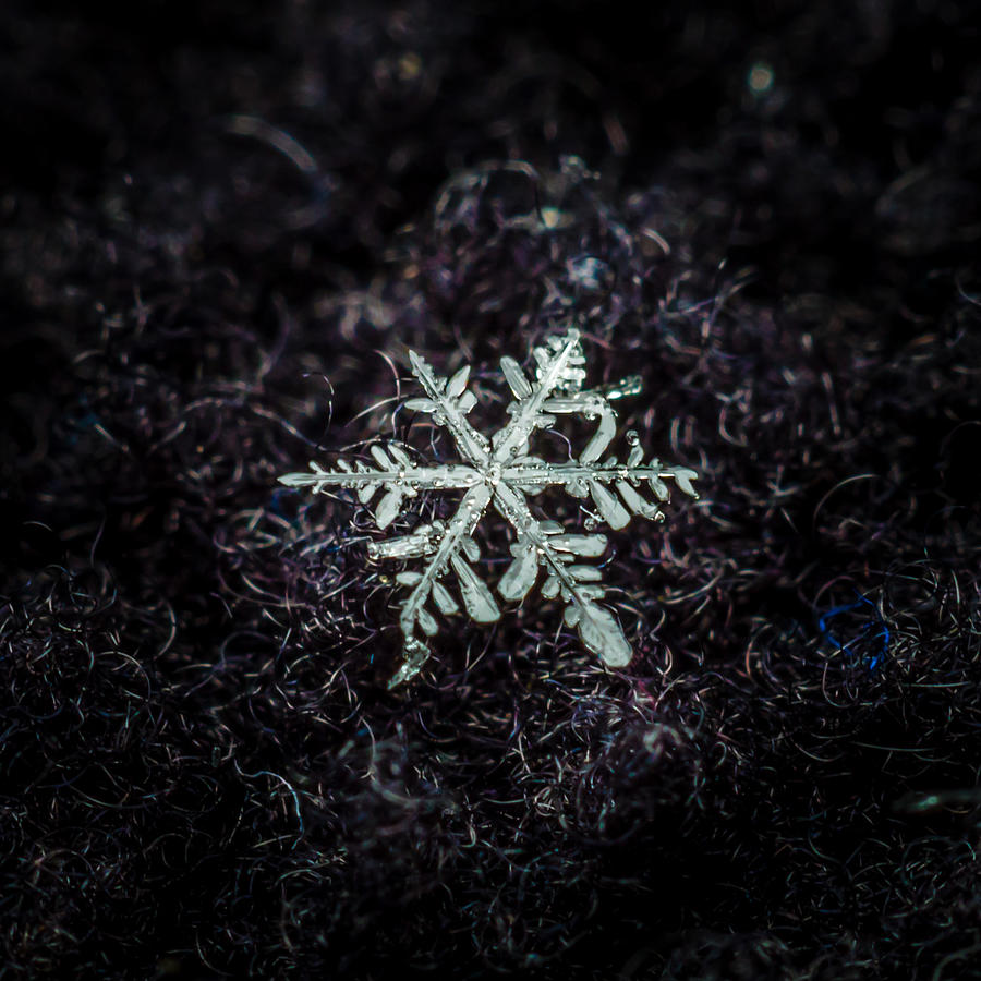 Snowflake #1 Photograph by Ryan Sommers
