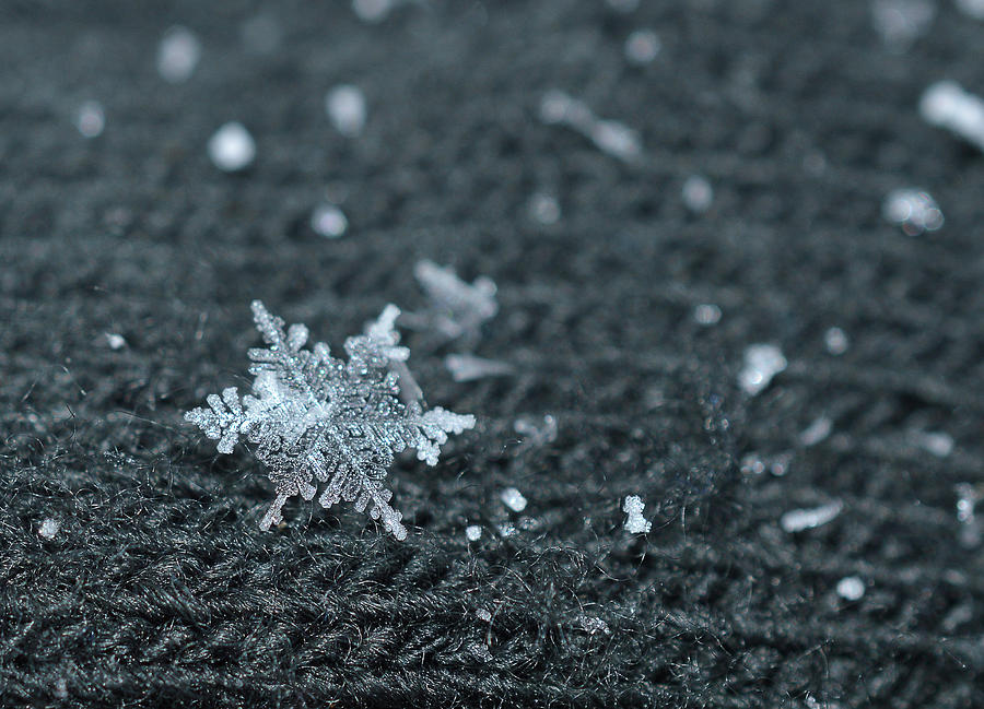 Snowflake 2 Photograph by Jennifer Wallace