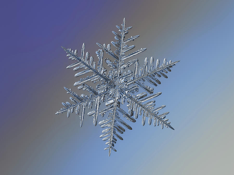 Snowflake 2016-01-21 - 1 alt Photograph by Alexey Kljatov