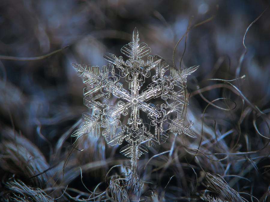 Snowflake 2018-02-06_7973-82 Photograph by Alexey Kljatov