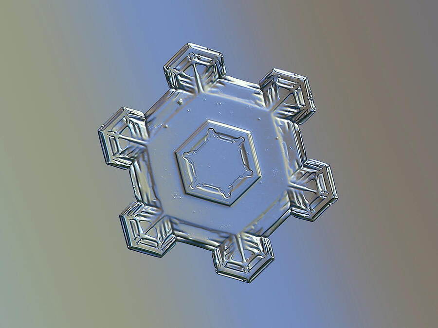Snowflake 2023-11-21-8419-30 alt Photograph by Alexey Kljatov Snowflake 2023-11-21-8419-30 alt Photograph by Alexey Kljatov
