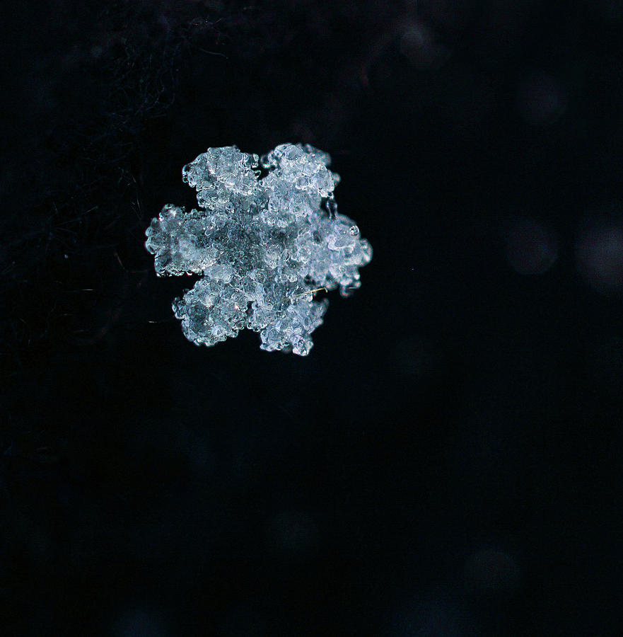 Snowflake 3 Photograph by Jennifer Wallace
