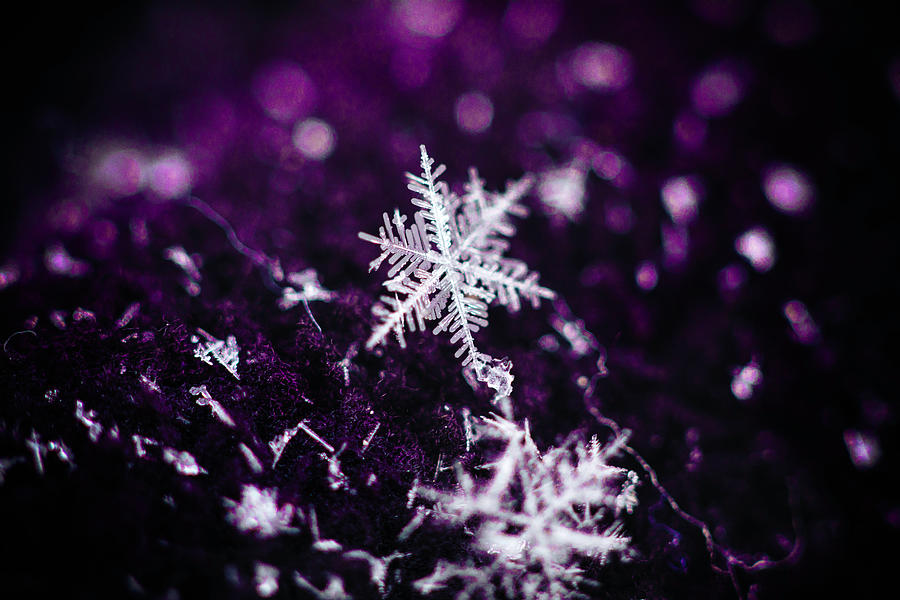 Snowflake beauty Photograph by Nicole Engstrom