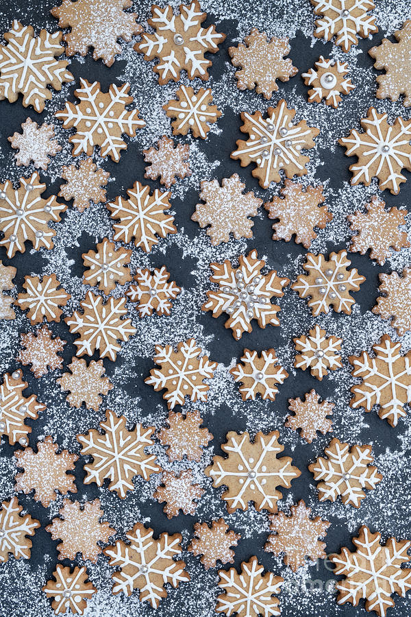 Snowflake Cookie Pattern Photograph by Tim Gainey
