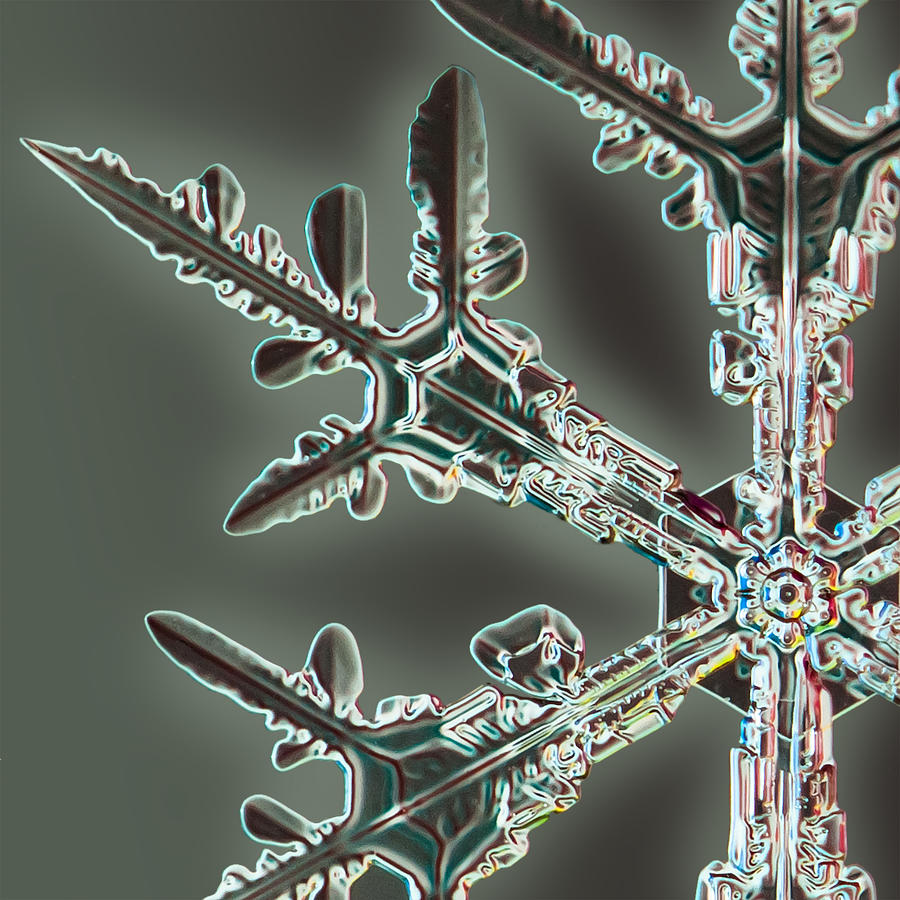 Snowflake Detail Photograph by Detached Retina Imaging