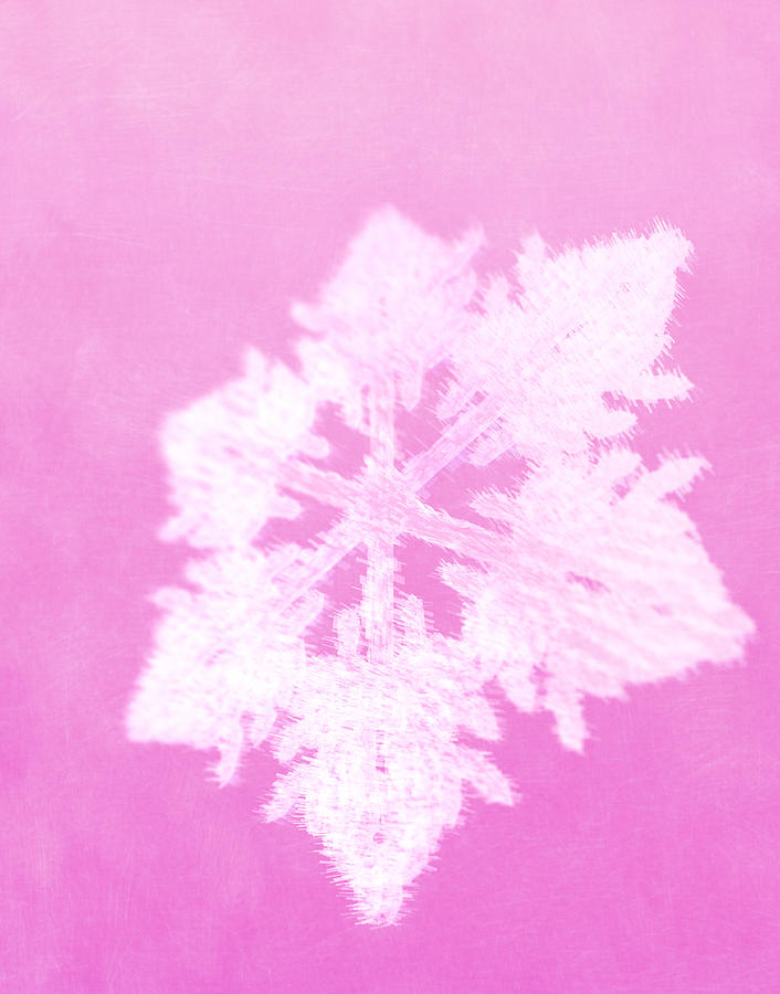 Snowflake (Digital) Drawing by Chad Baker