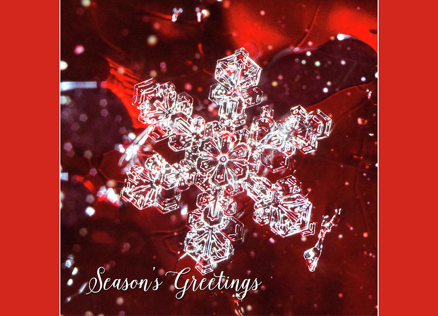 Snowflake on red Seasons Greetings Photograph by Denise Beverly