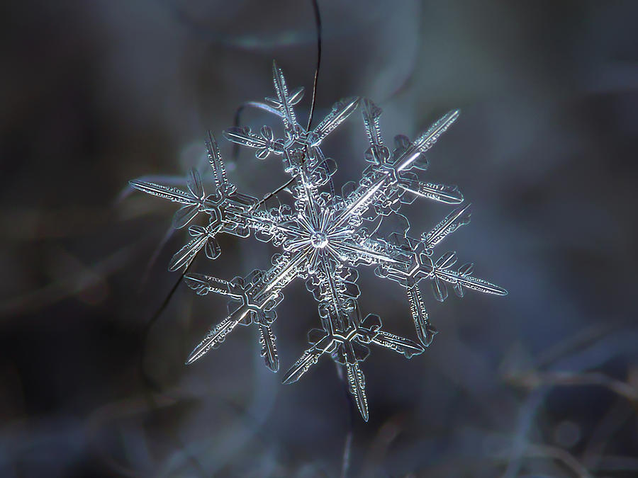 Snowflake photo - Rigel Photograph by Alexey Kljatov