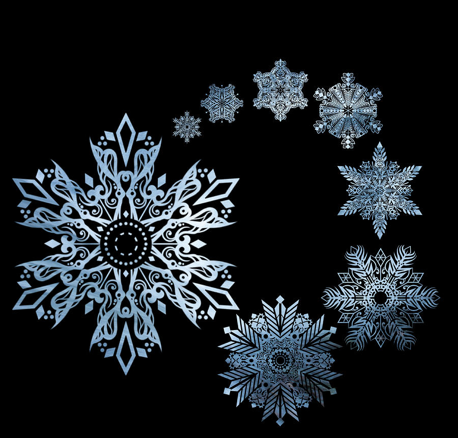 Snowflakes Photograph by Crystal Wightman