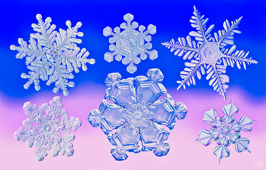 Snowflakes Painting by Judy Cuddehe