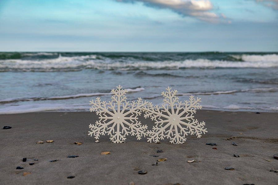 Snowflakes On The Coast Photograph