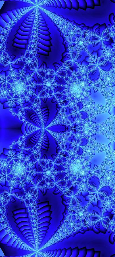 Snowflakes Two Digital Art