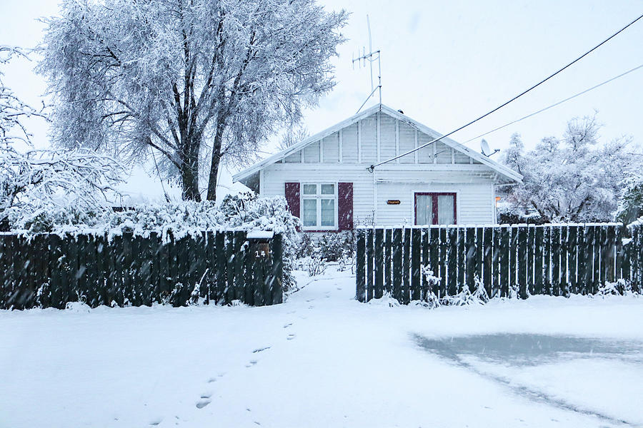 Snowing in South Island , New Zealand  Photograph by Pla Gallery