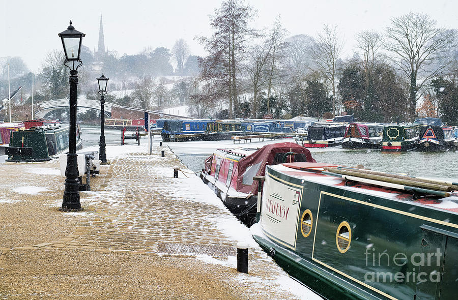 Snowing in the Marina Photograph by Tim Gainey