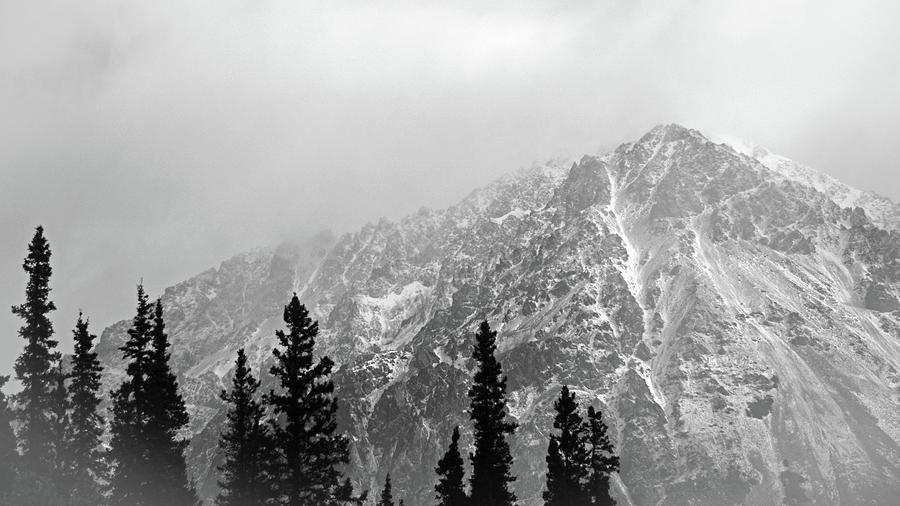 Snowing on the Mountain. Talkeetna Alaska Photograph by Connie Fox