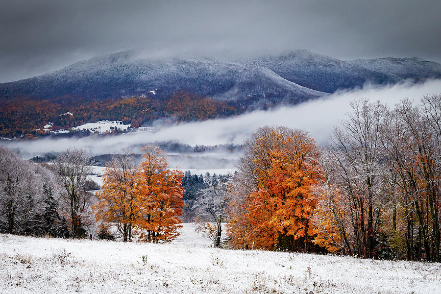 Snowliage Landscape Photograph by Tim Kirchoff