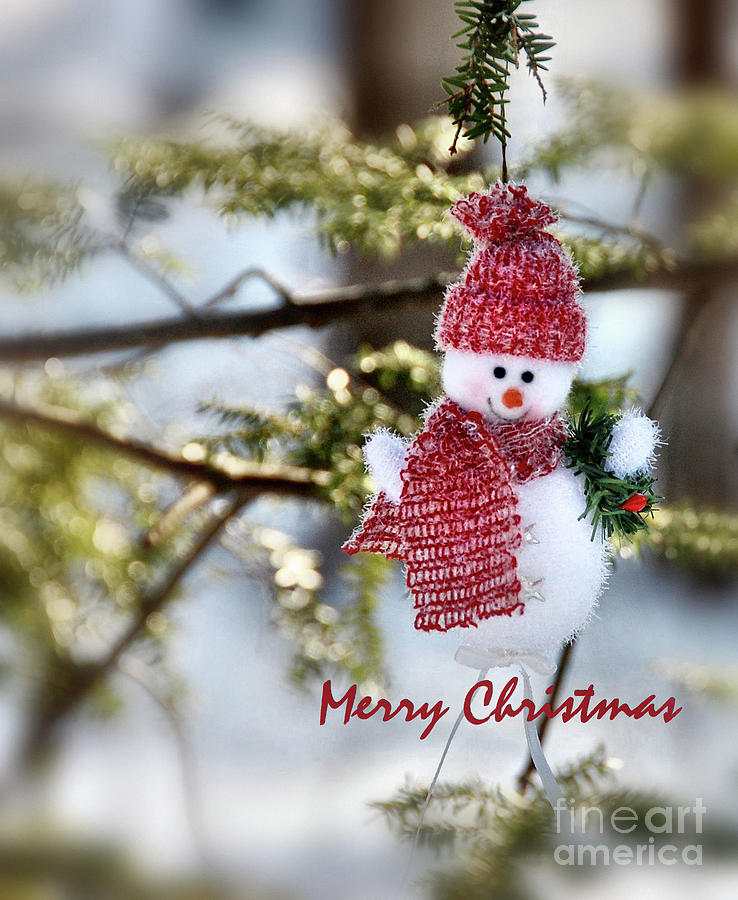 Snowman Christmas Card  Photograph by Elaine Manley