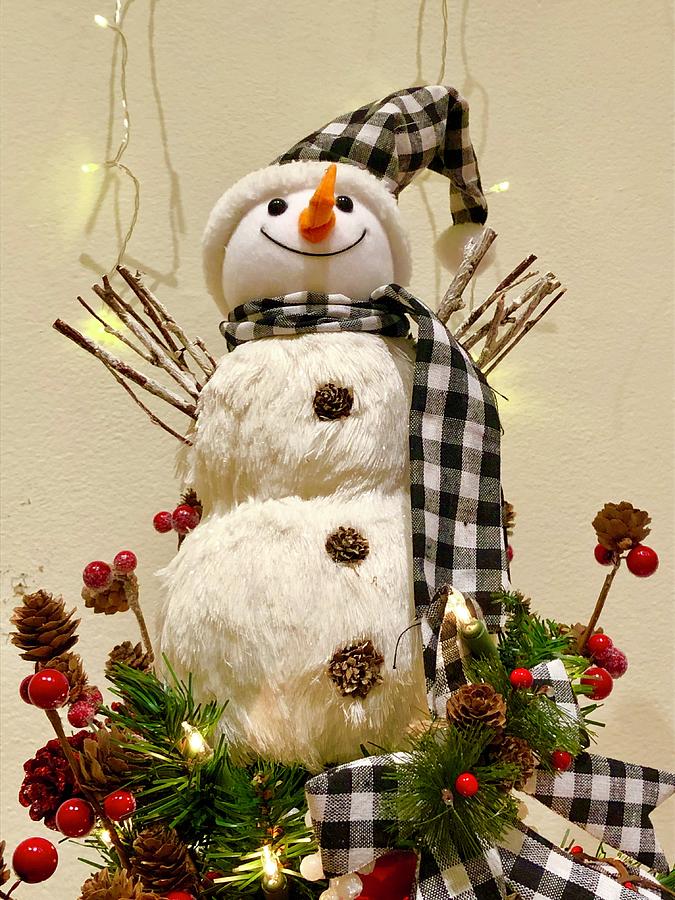 https://images.fineartamerica.com/images/artworkimages/mediumlarge/3/snowman-christmas-tree-topper-denise-mazzocco.jpg