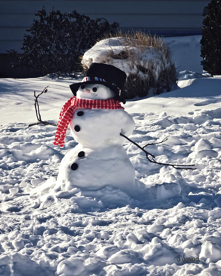 Winter Photograph - Snowman With Hat and Scarf by Susan Savad