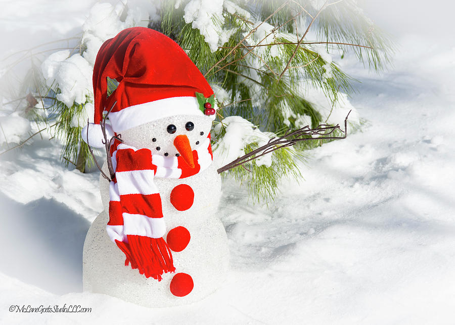 Snowman with pine Photograph by LeeAnn McLaneGoetz McLaneGoetzStudioLLCcom