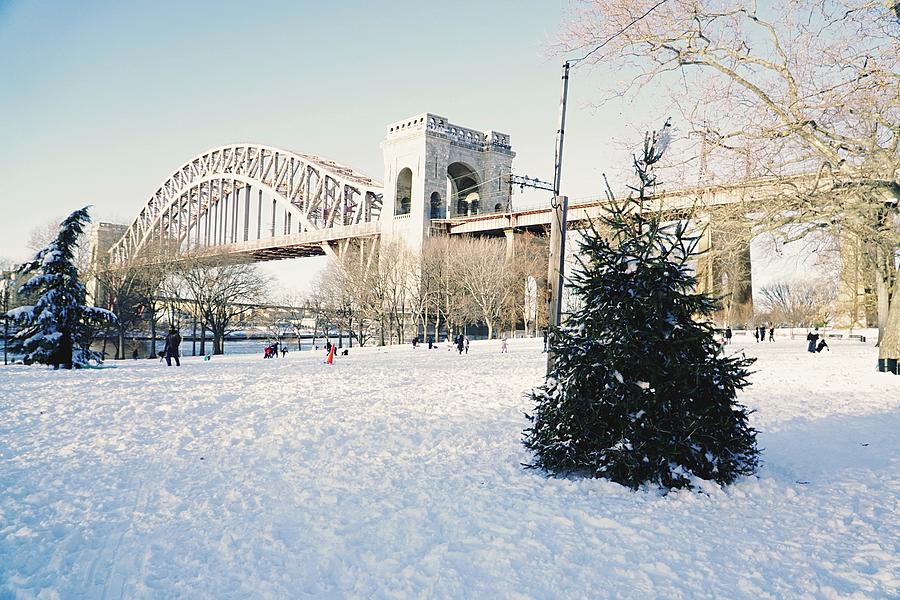 Christmas Photograph - Snows in Astoria Park - 2020 by Cecilia L Maronilla