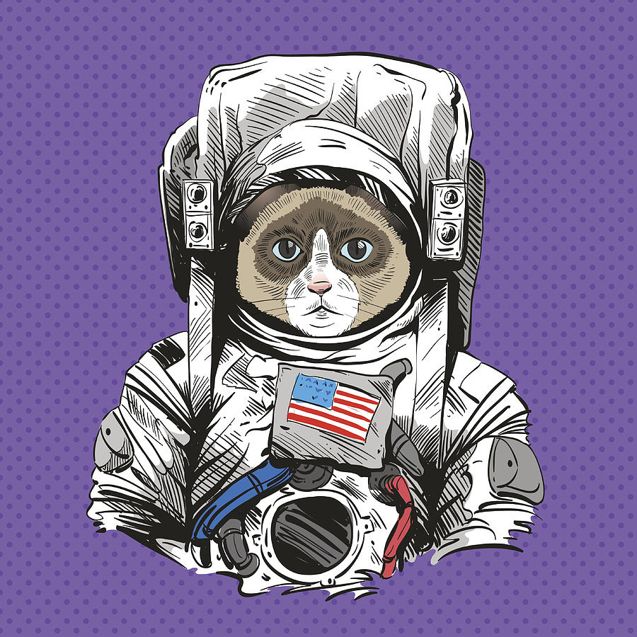 Snowshoe cat in astronaut suit. Hand drawn vector illustration Drawing by Yakovliev