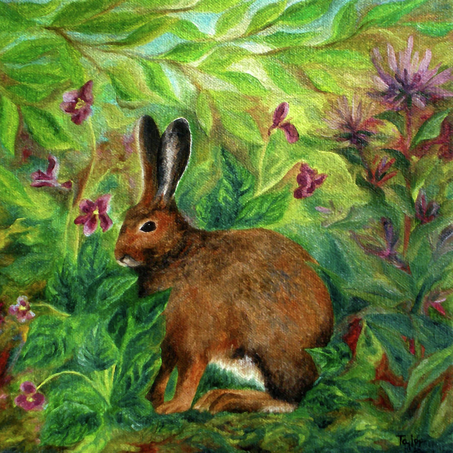 Snowshoe Hare Painting by FT McKinstry