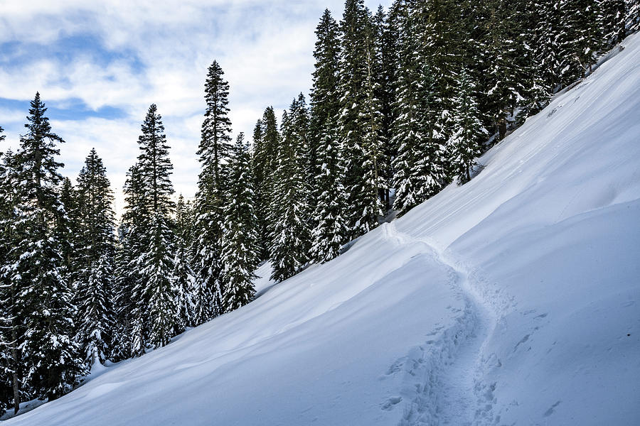 Mountain Photograph - Snowshoe Trail by Pelo Blanco Photo