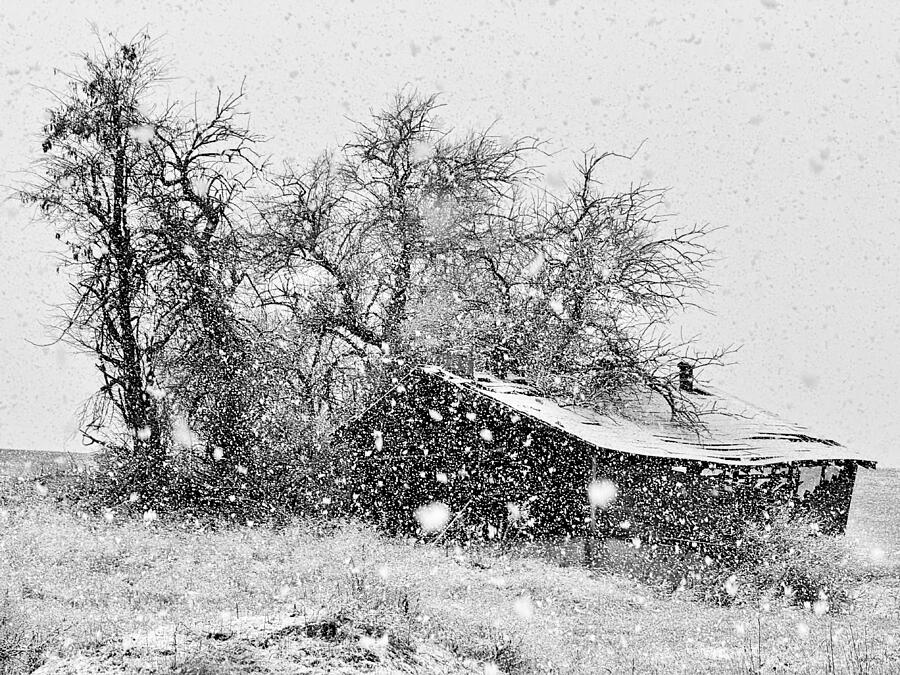 Snowstorm - Abandoned Barn Photograph by Jerry Abbott