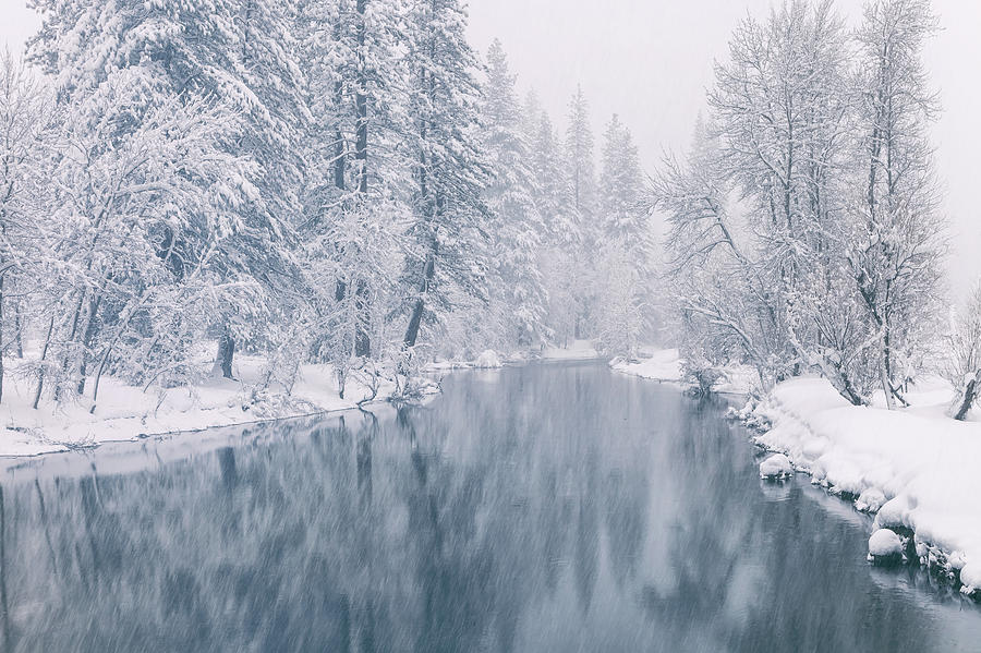 Snowstorm  Photograph by Jonathan Nguyen