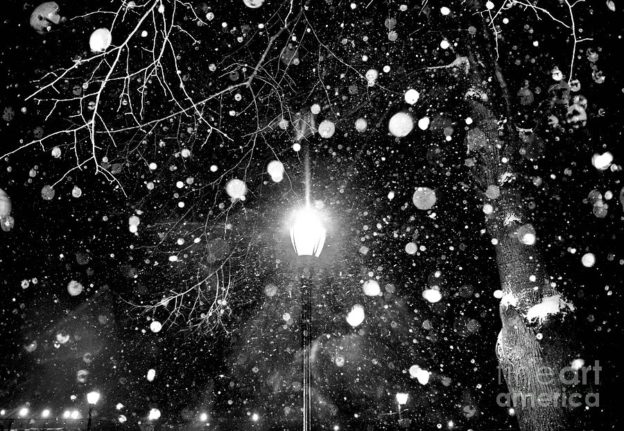 Snowstorm Lantern Light Photograph by Debra Banks