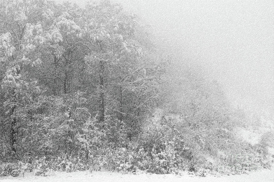 Snowstorm Photograph by Mariarosa Rockefeller